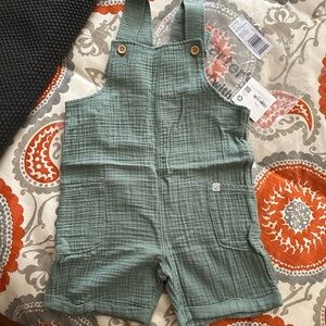 Sage Green Shorts Overalls
